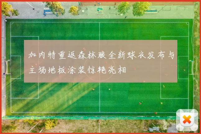 加内特重返森林狼全新球衣发布与主场地板涂装惊艳亮相