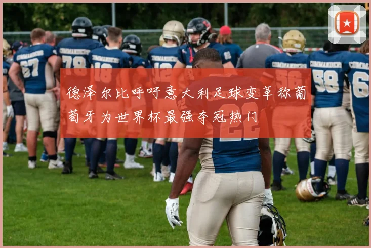 德泽尔比呼吁意大利足球变革称葡萄牙为世界杯最强夺冠热门